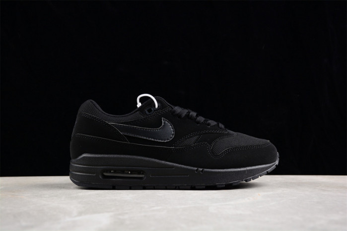 nike air max 1     dz3307-001